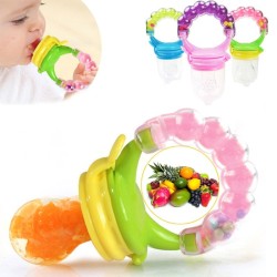 Fresh Fruit Pacifier